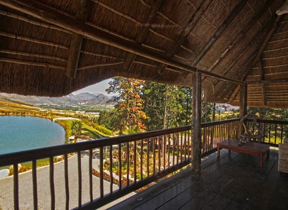 forest_suites_image03