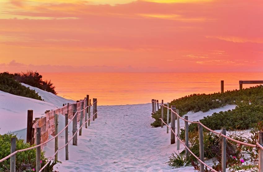 26958_1545904551-6965403300_3