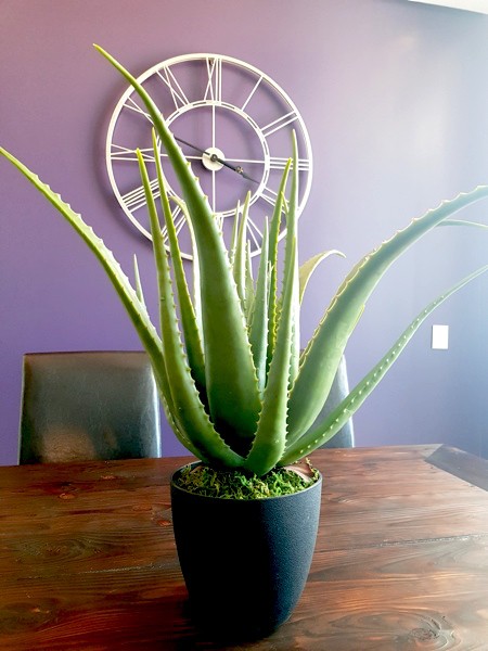 {6D391162-A60E-4490-8AFC-0D1F5874B952}