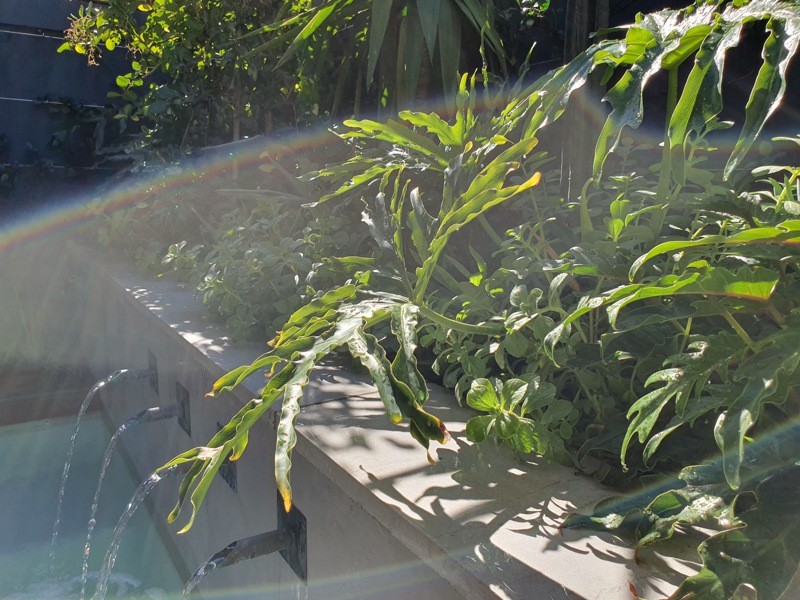 {1752CF75-1306-41C6-B4C0-08AB83E4098A}