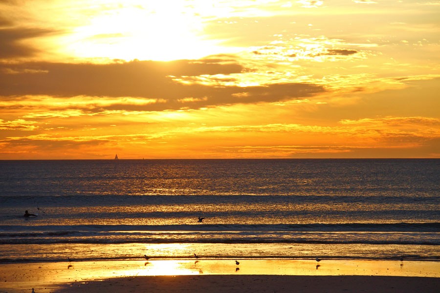 8353_1508236410-4658017810_16