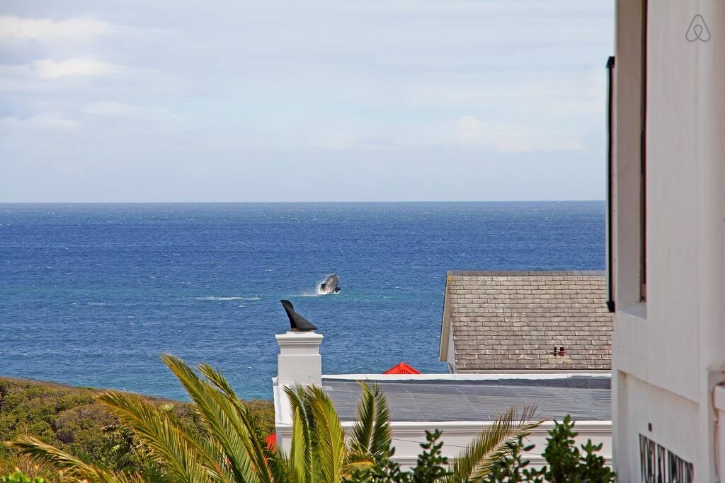 a74b9f07-5a4d-4826-8c0f-ea5a73474beb