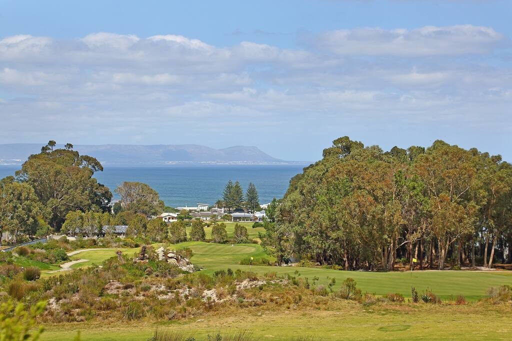 3d1831f6-0427-4d3c-a70e-a998713a8637