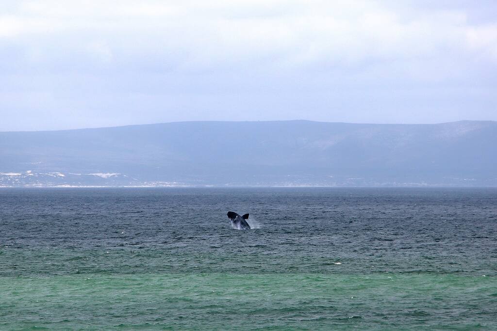 99dad4eb-08b4-4994-b9e2-6818f8f31681