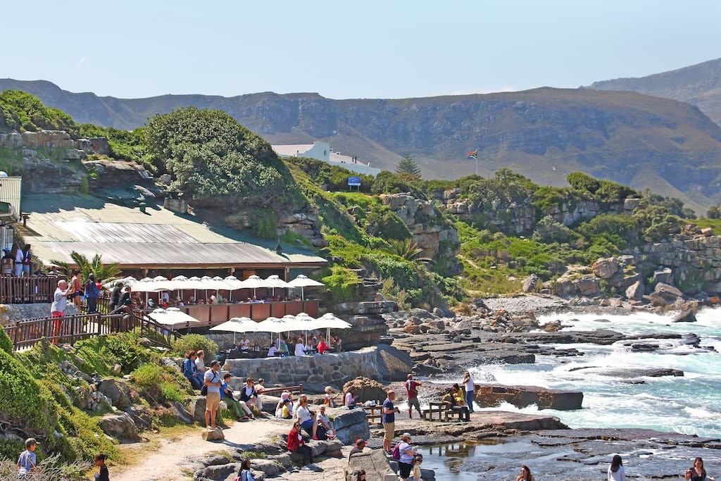 c3161ee4-f5f6-41c1-8eb0-2337a9d70975