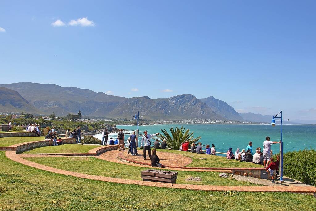 eba907e4-eb36-415e-be79-48a308424466