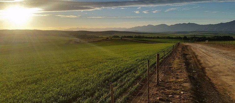 AfriCamps-at-KamBati-40