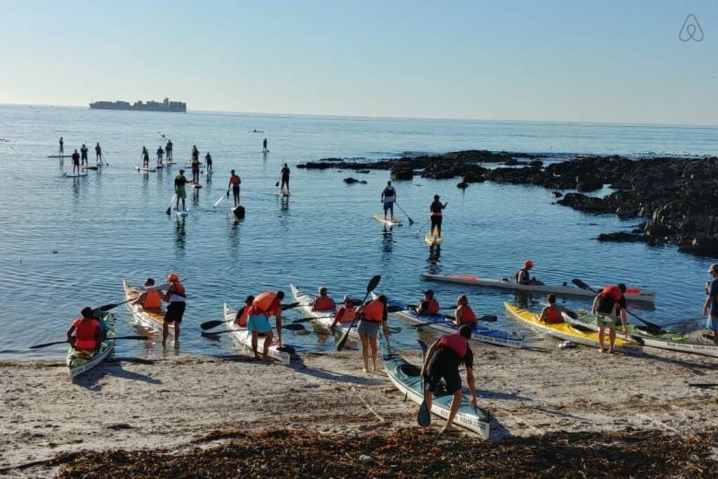 05041750-6ed3-4a58-8e0b-1c5b70f1a1bd