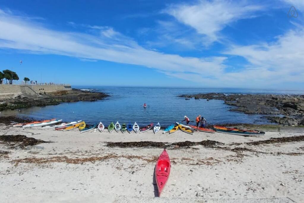 19a890d3-5c0b-4f75-843f-96c85ac5fa72