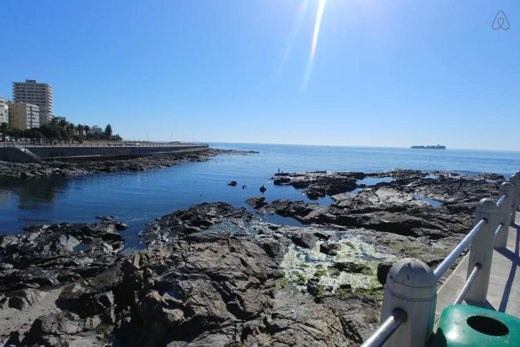 43b7119d-026d-489b-83b7-8f497060dfcc