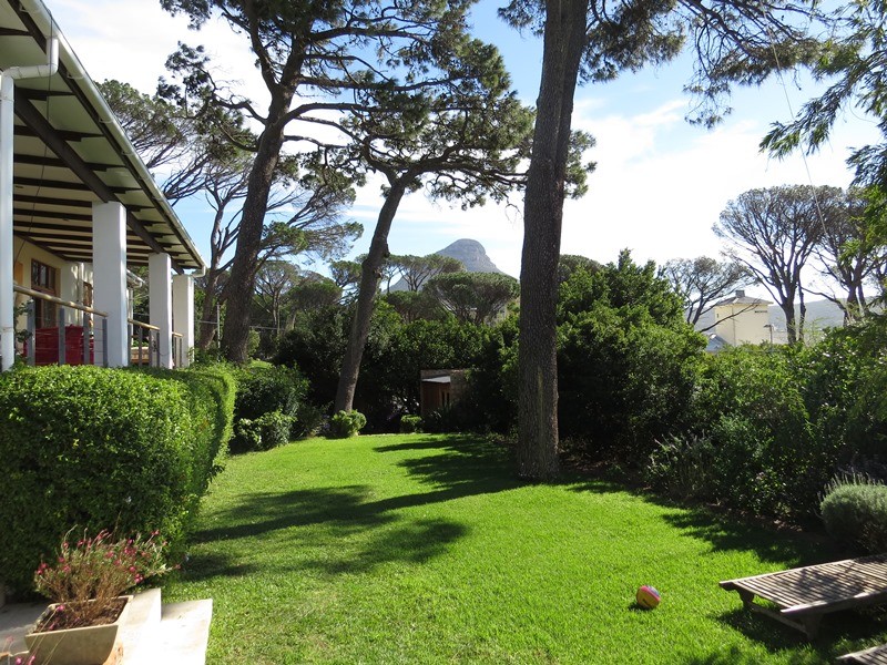 Amelias-Dream-gallery-11