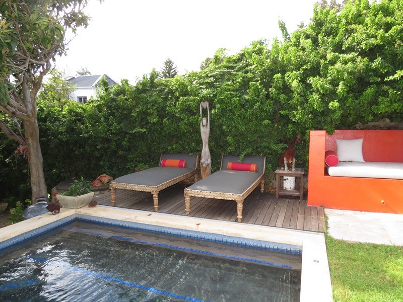 Amelias-Dream-gallery-12