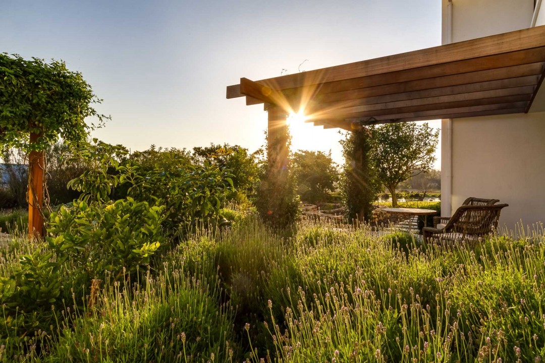 14-Stellenbosch-Retreat-photograph-14-1