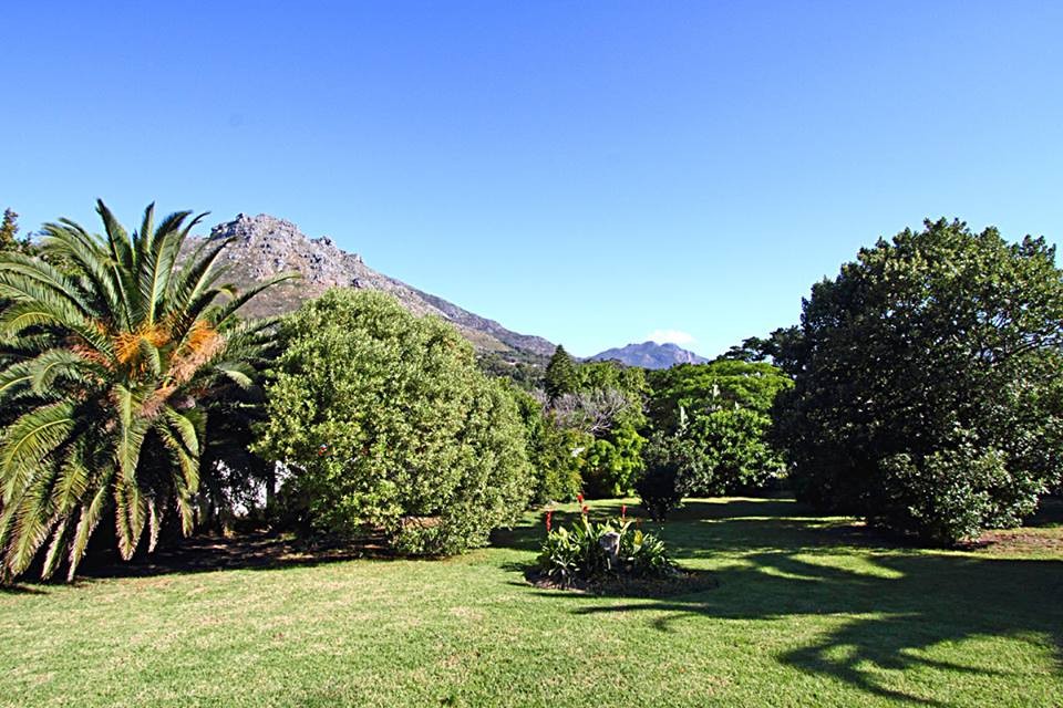 Palm-Acres-gallery-12