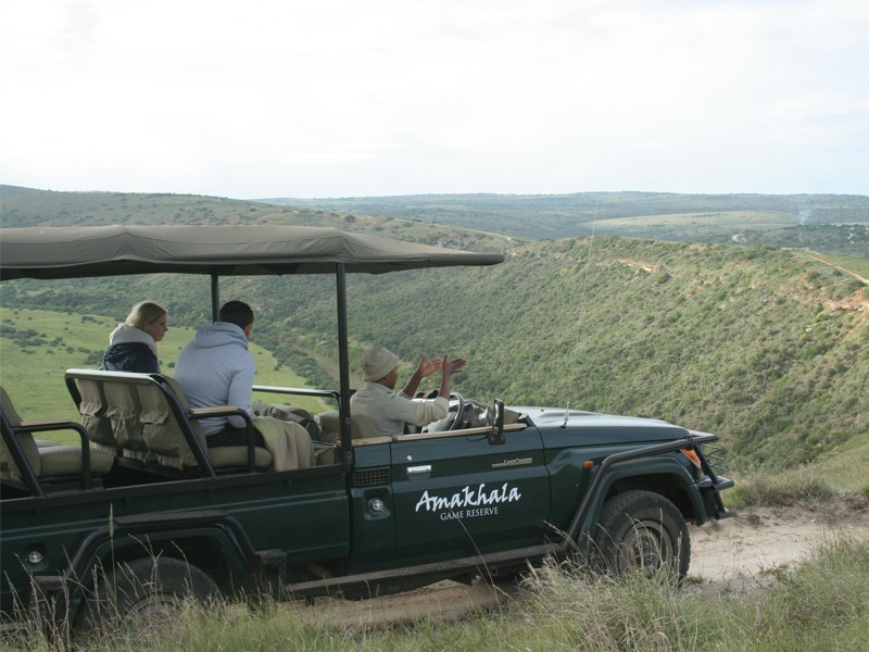 Greater_Addo_Port_Elizabeth_Accommodation_Amakhala_Game_Reserve_Game_Viewing