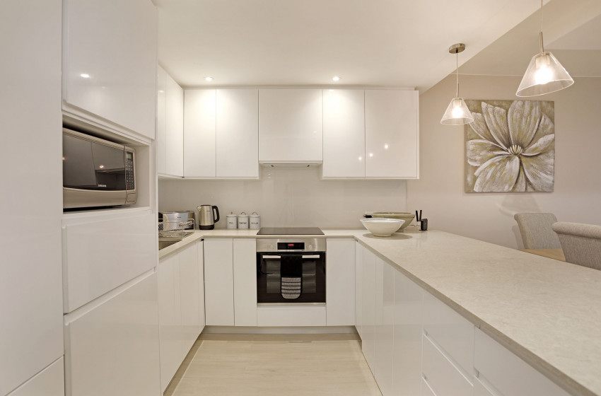 Dolphin-Beach-H106.-10