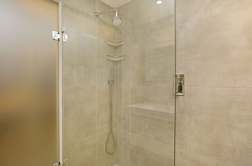 Dolphin-Beach-H106.-15