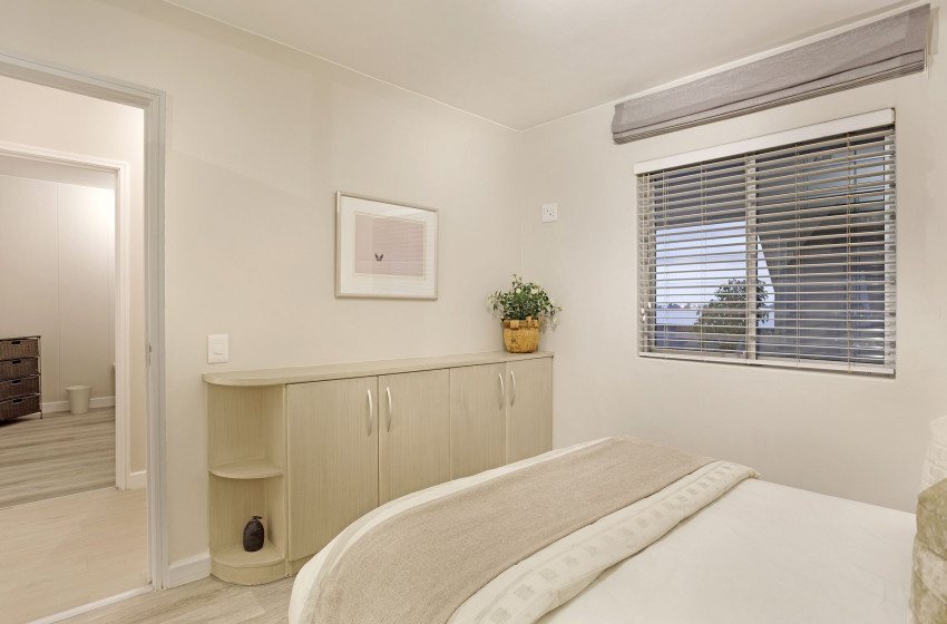 Dolphin-Beach-H106.-17