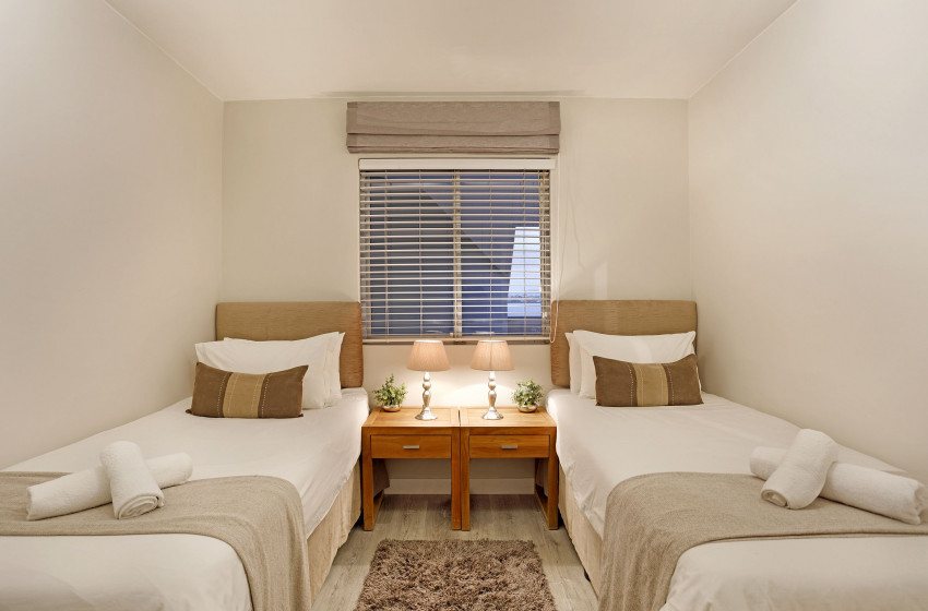 Dolphin-Beach-H106.-20