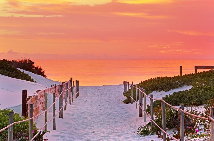 Dolphin-Beach-H106.-24