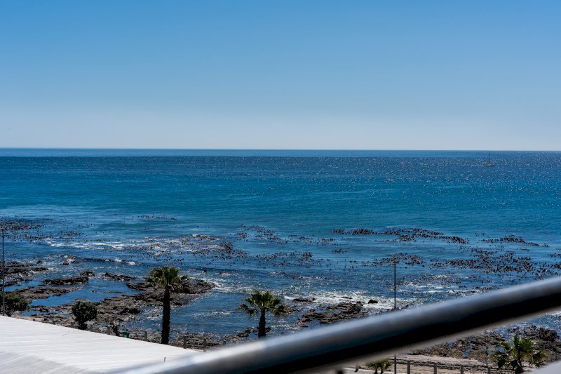 DSC05703_352_1759410239231-w800