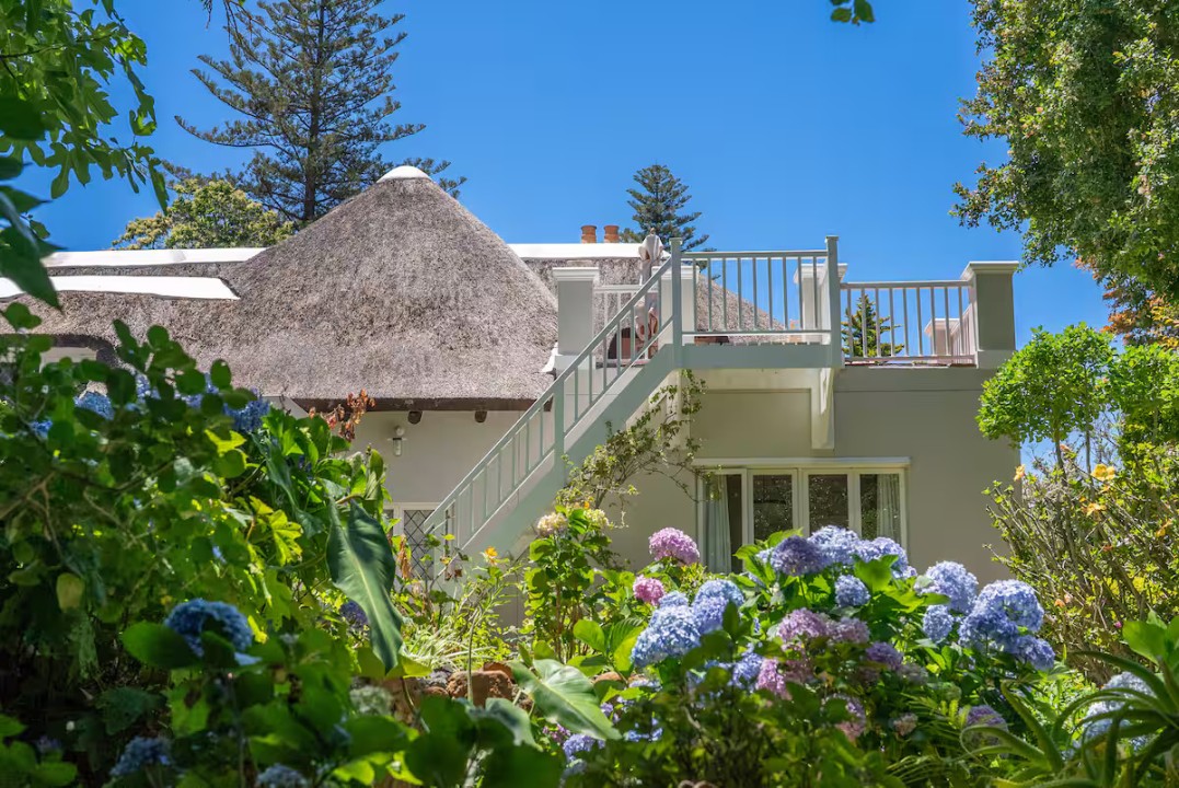 c16cd987-0f45-4517-9320-c8307c4a6499